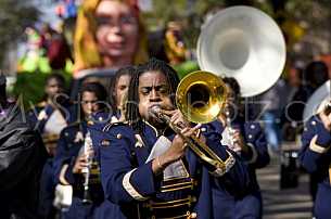 Mardi Gras in Mobile!