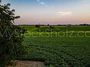Farmland Aerial