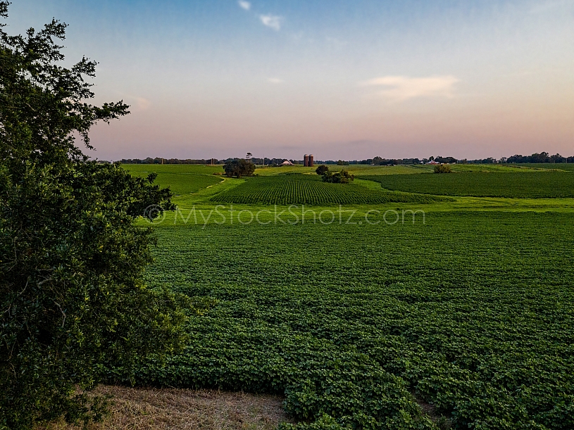 Farmland Aerial