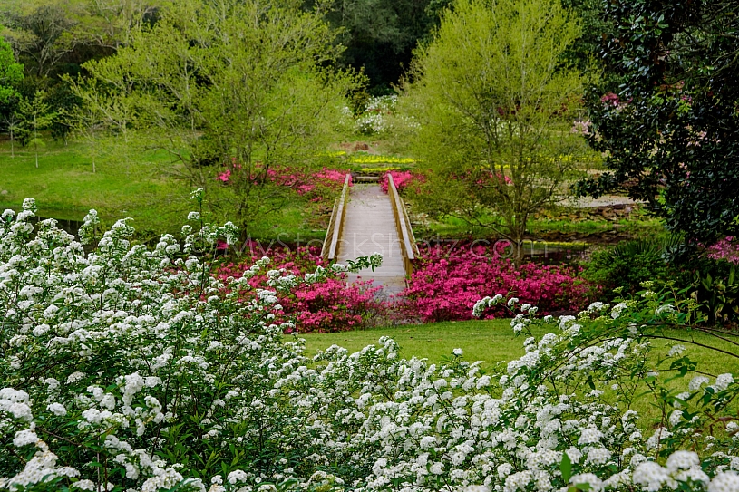 Bellingrath Gardens