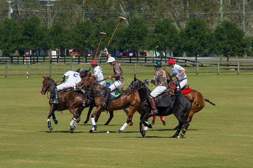 Polo At The Point 