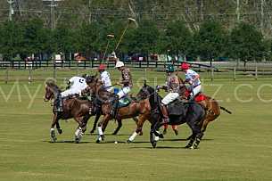 Polo At The Point 