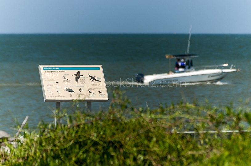 Dauphin Island - May 20, 2010