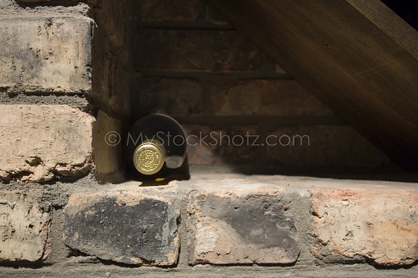 Wine Cellar
