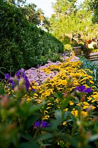 Bellingrath Gardens & Home - Mums in Bloom - 2010