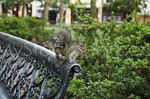 Bienville Square Mobile Alabama