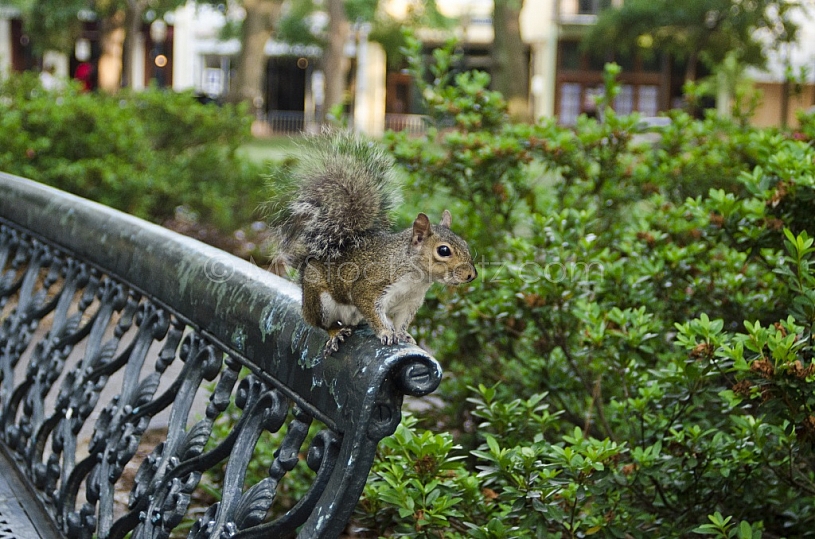 Bienville Square Mobile Alabama