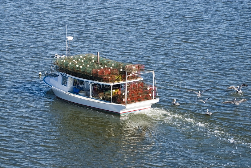 Fishing Industry in Mobile, Alabama
