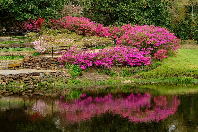 Beautiful Bellingrath Gardens
