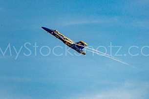Blue Angels Homecoming 2018