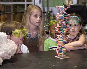 The Exploreum of Mobile