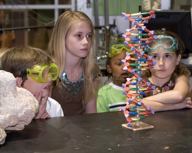 The Exploreum of Mobile