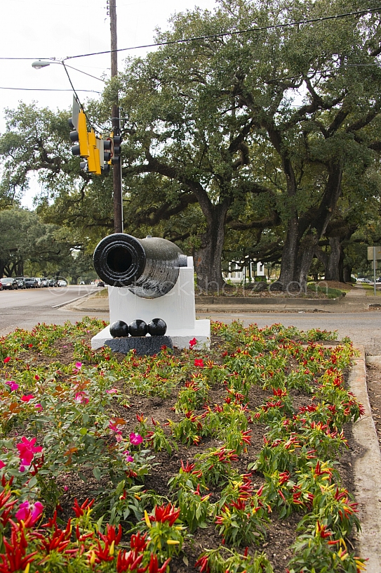 The Canon at the Loop