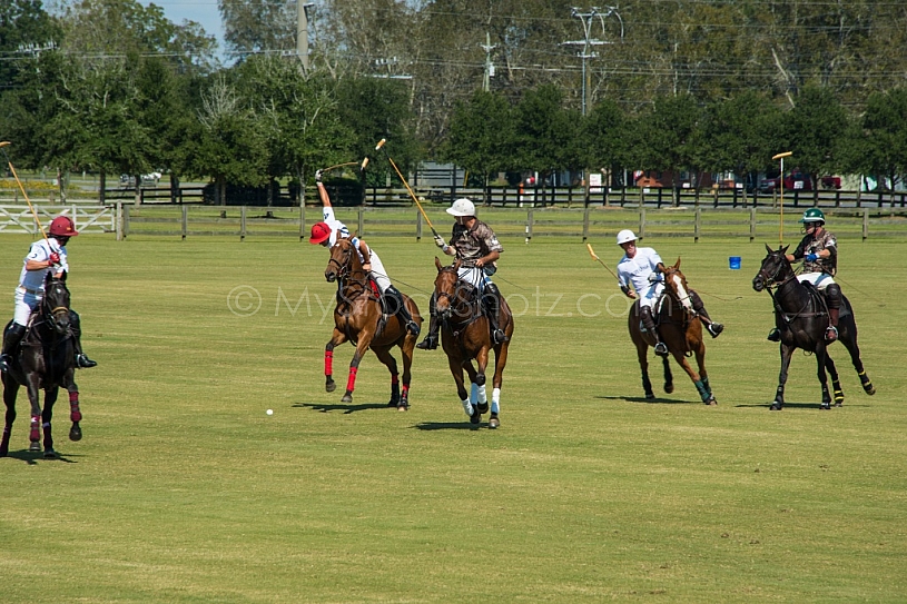 Polo At The Point 