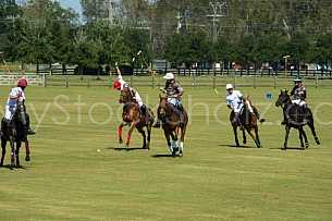 Polo At The Point 