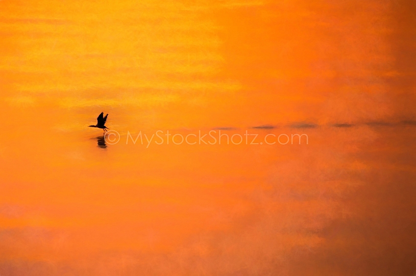 Mobile Bay Sunset - Montrose Alabama