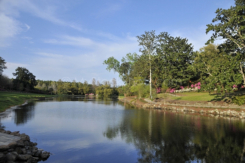 Mirror Lake at Bellingrath