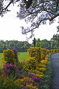 Bellingrath Gardens Mums