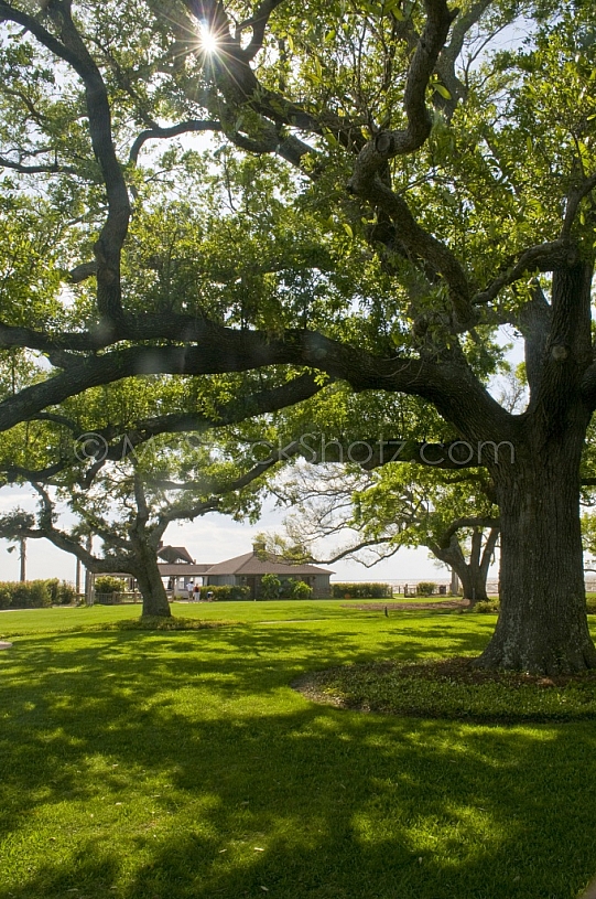Julep Point and the Oaks at Marriott Grand Hotel