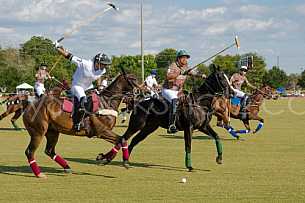 Polo At The Point