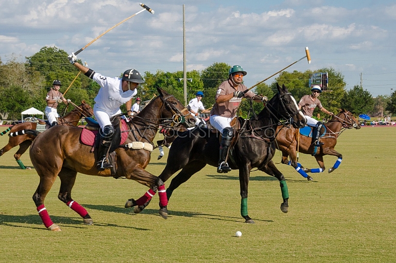 Polo At The Point