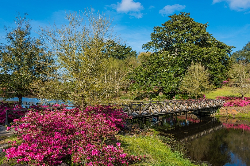 Beautiful Bellingrath Gardens