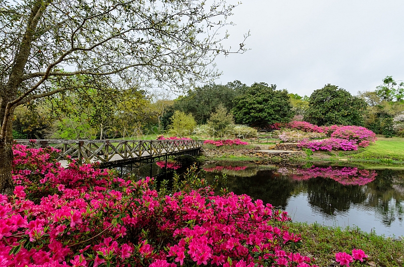 Beautiful Bellingrath Gardens