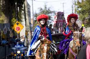 Mardi Gras in Mobile!