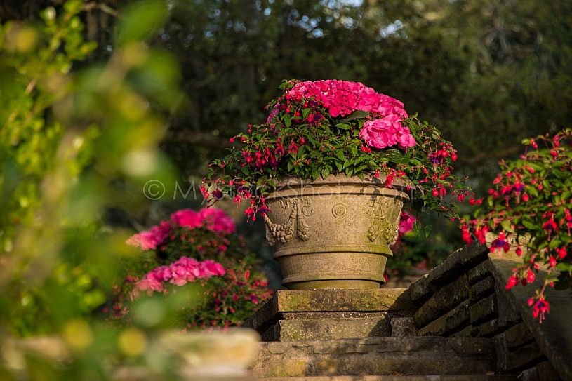 Beautiful Bellingrath Gardens