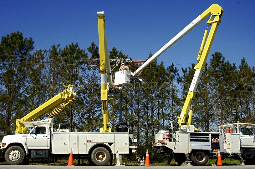 Electric Utility Workers