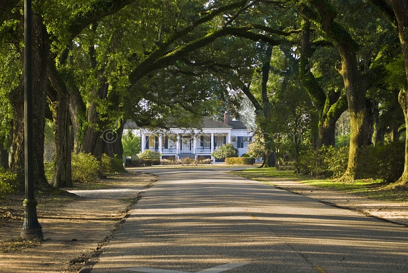 Avenue of Oaks at Spring Hill College
