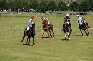Polo At The Point 