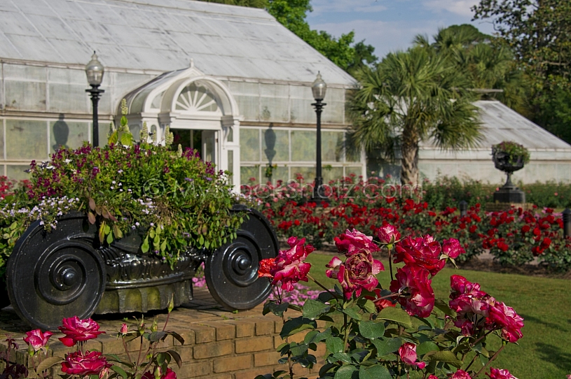 Beautiful Bellingrath Gardens