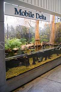 Mobile Delta Exhibit