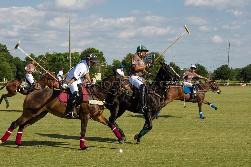 Polo At The Point