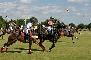 Polo At The Point