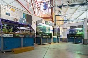 Sealab exhibits