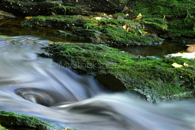 Water at moccasin gap - Alabama