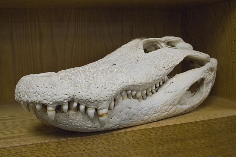 Mobile Environmental Center - West Mobile