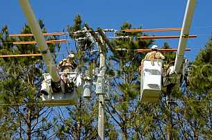 Electric Utility Workers