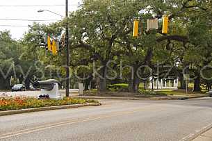 The Canon at the Loop