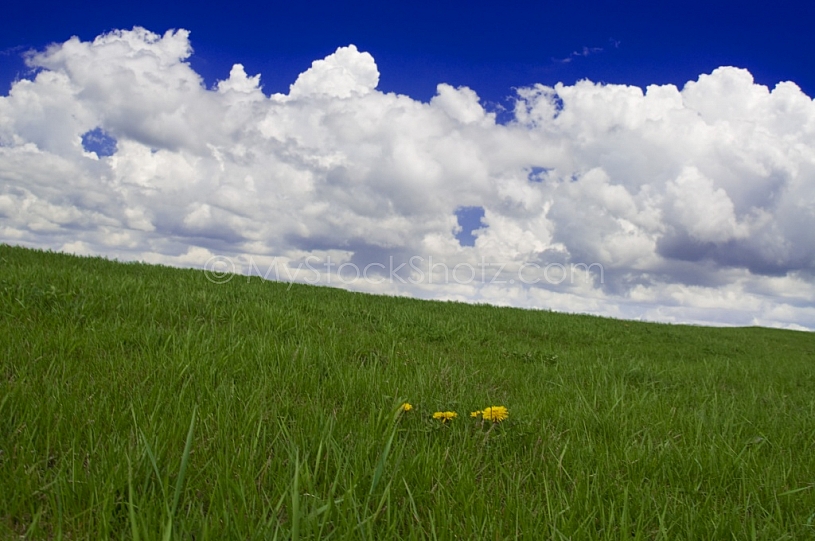 Grassy hill and clouds