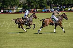 Polo At The Point 
