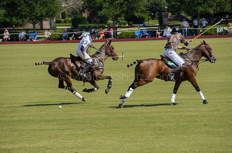 Polo At The Point 