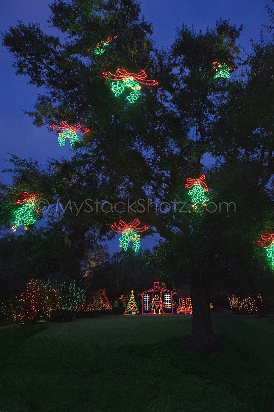 Bellingrath Gardens Christmas in Lights