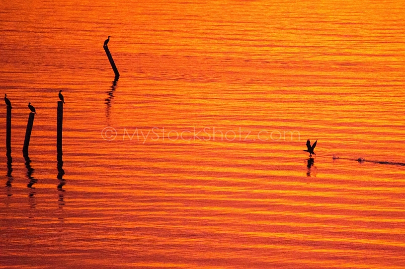 Mobile Bay Sunset - Montrose Alabama