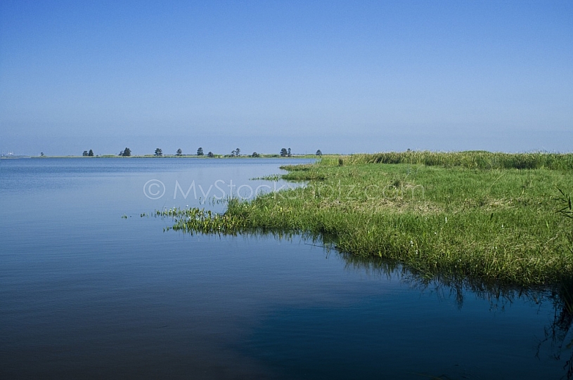 The Beautiful Mobile Delta - just north of the Causeway