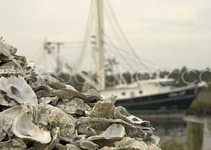 Commercial Oyster Fishing photo - Bayou La Batre, AL