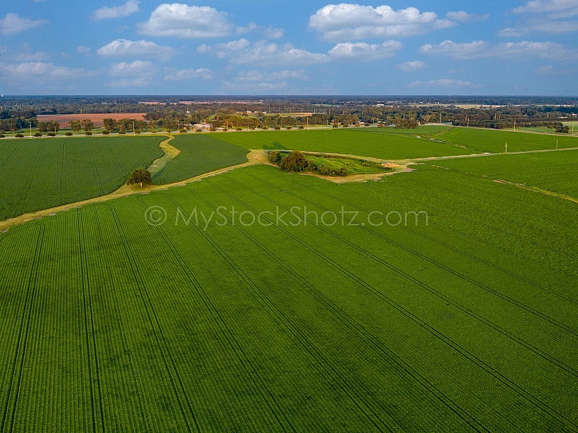 Farmland Aerial
