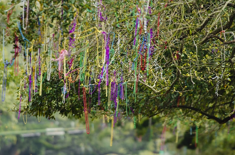 Mardi Gras 2011 in Mobile